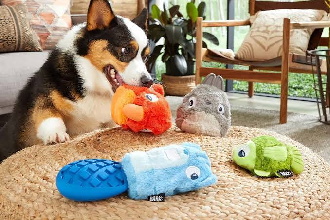 🐶 Best Dog Toys for Boredom & Anxiety: Fun Ways to Keep Dogs Busy